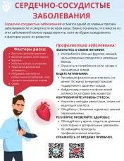 80% преждевременных смертей от ССЗ можно предотвратить